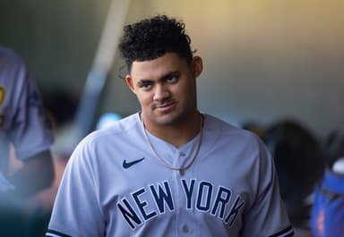 jasson dominguez, yankees