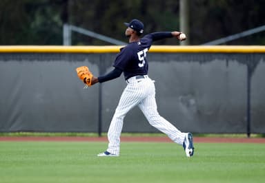 New York Yankees, Domingo German