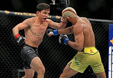 Joseph Benavidez, UFC