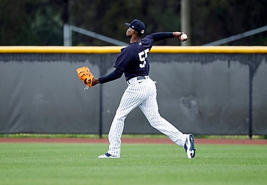 New York Yankees, Domingo German