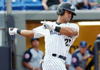 New York Yankees, Jasson Dominguez