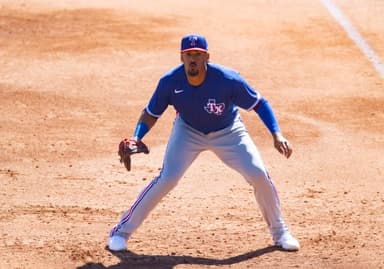 Ronald Guzman, yankees