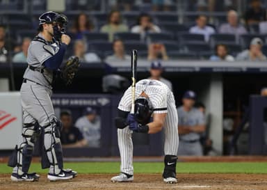 New York Yankees, Luke Voit