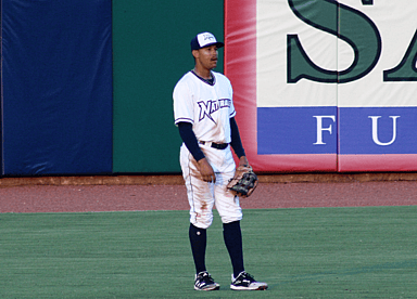 blake perkins, yankees