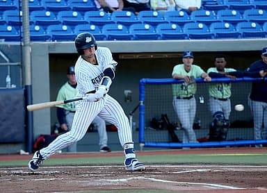 Josh Breaux, yankees
