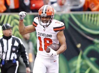 New York Giants, Damion Ratley