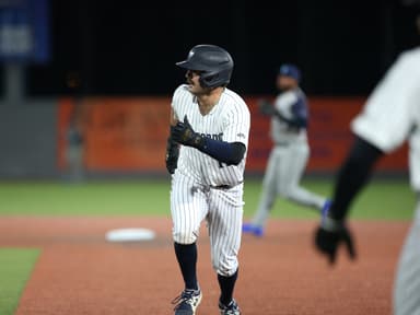 Syndication: Poughkeepsie Journal, yankees, austin wells