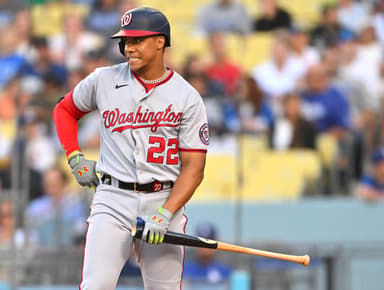 juan soto, yankees, washington nationals