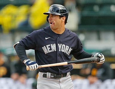 Mike Tauchman, New York Yankees