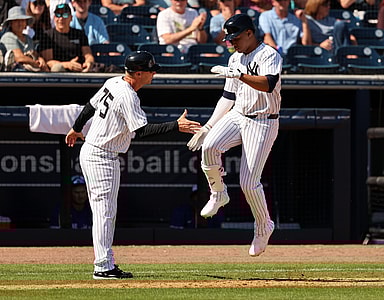 mlb: spring training-toronto blue jays at new york yankees, juan soto