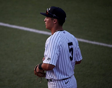 anthony volpe, yankees