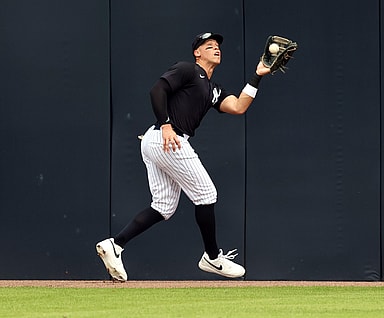 MLB: Spring Training-Tampa Bay Rays at New York Yankees