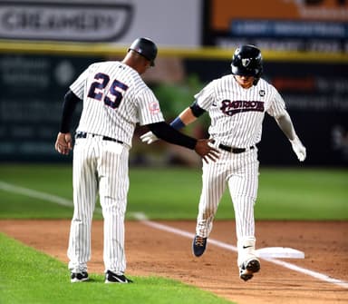 Andres Chaparro, new york yankees