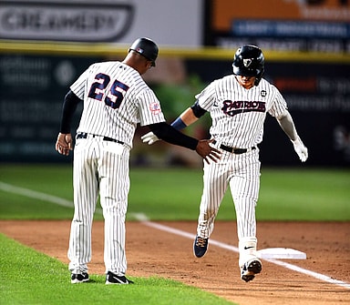 Andres Chaparro, new york yankees