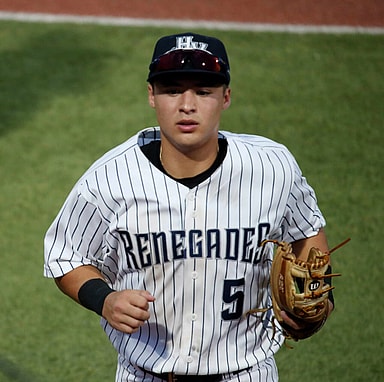 anthony volpe, yankees