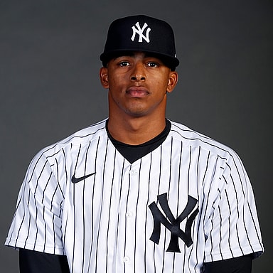 New York Yankes, Luis Medina