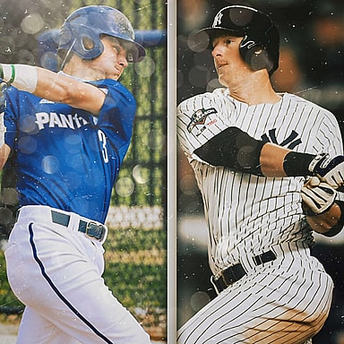 trey sweeney, dj lemahieu, yankees