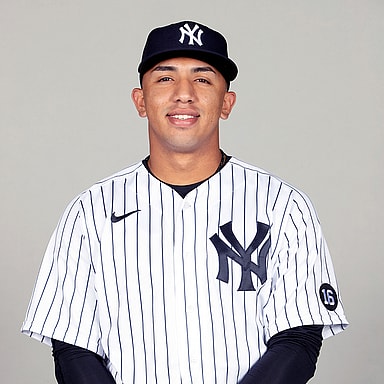 new york yankees, oswald peraza