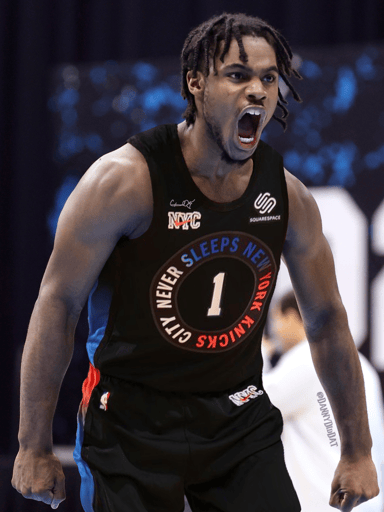davion mitchell, knicks