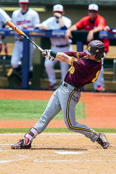 New York Yankees, Trevor Hauver