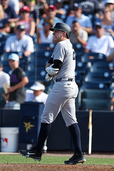 MLB: New York Yankees at Tampa Bay Rays