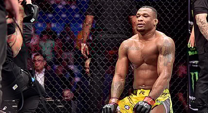 MMA: UFC Fight Night - Sao Paulo- Almeida vs Lewis