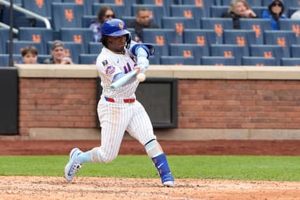 MLB: Tampa Bay Rays at New York Mets