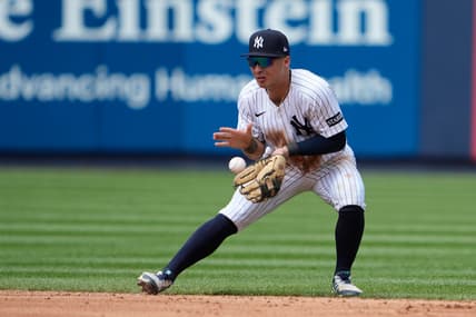 MLB: Chicago Cubs at New York Yankees, anthony volpe