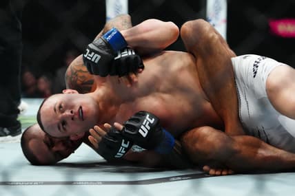 MMA: UFC 317- Pantoja vs Kara-France