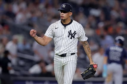 MLB: Tampa Bay Rays at New York Yankees, jonathan loaisiga