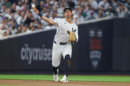 MLB: Tampa Bay Rays at New York Yankees