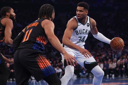 Giannis Antetokounmpo, knicks