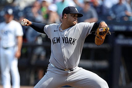 MLB: New York Yankees at Tampa Bay Rays, fernando cruz