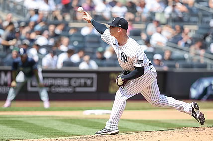 MLB: Tampa Bay Rays at New York Yankees, ian hamilton