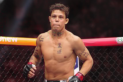 MMA: UFC 326 - Borralho vs Ridder