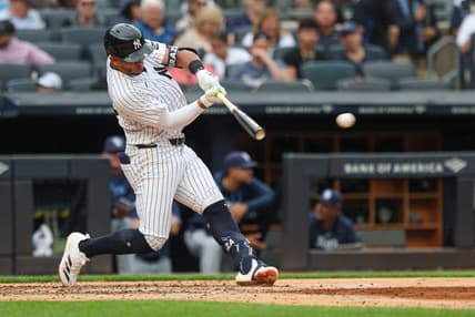 MLB: Tampa Bay Rays at New York Yankees, oswald peraza