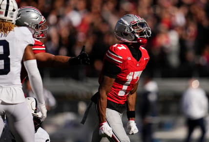 Syndication: The Columbus Dispatch, carnell tate, new york giants
