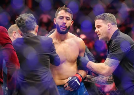 MMA: UFC 281 - Reyes vs Spann
