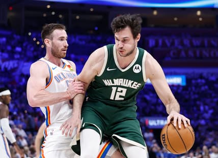 Danilo Gallinari, knicks