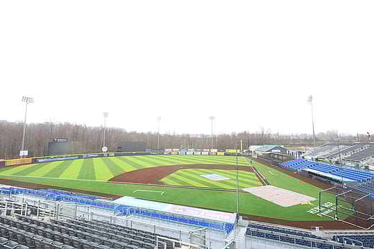 Hudson Valley Renegades, Yankees
