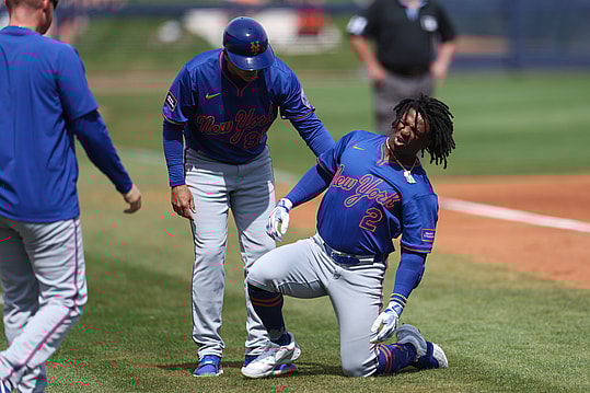 MLB: Spring Training-New York Mets at Tampa Bay Rays