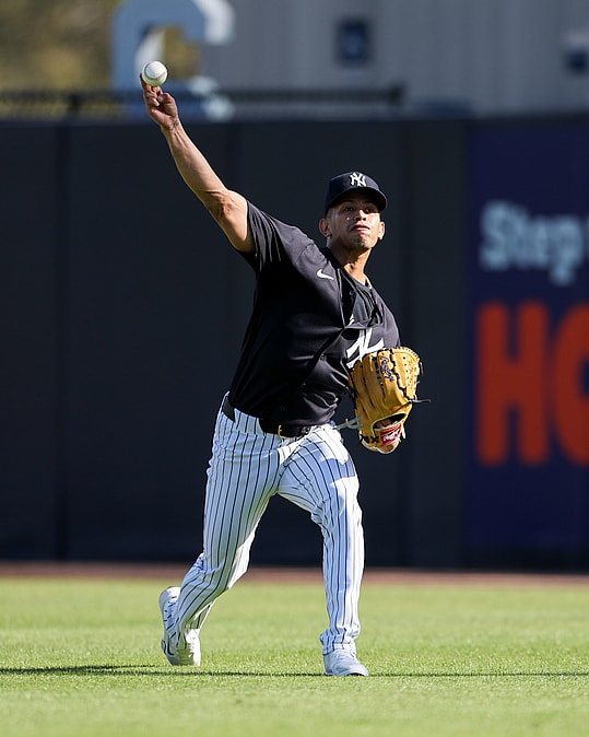MLB: New York Yankees-Workouts, jonathan loaisiga