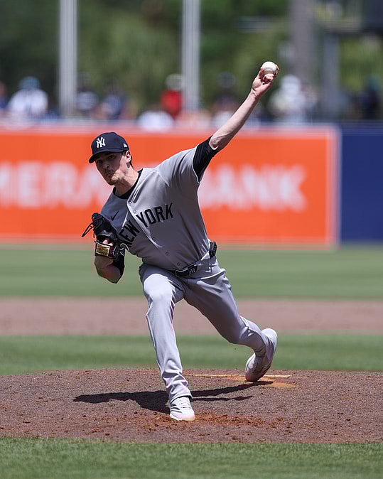 MLB: New York Yankees at Tampa Bay Rays, max fried