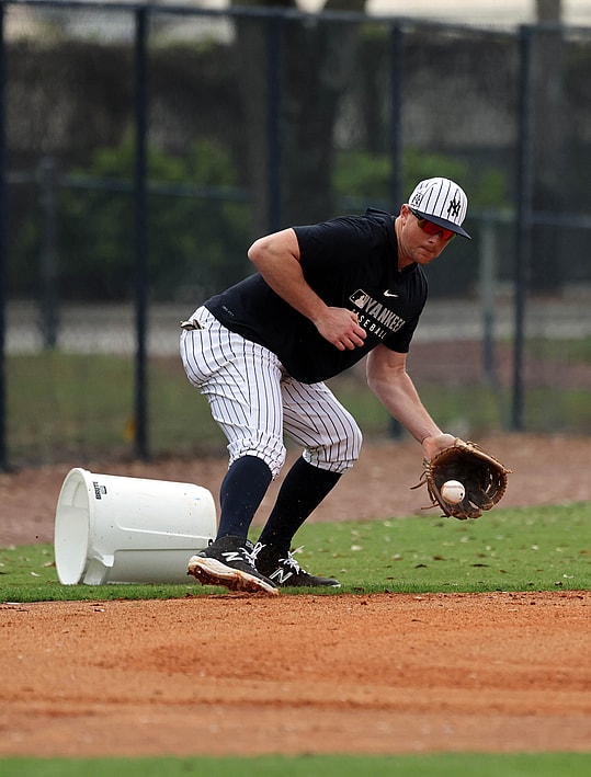 MLB: New York Yankees-Workouts, dj lemahieu