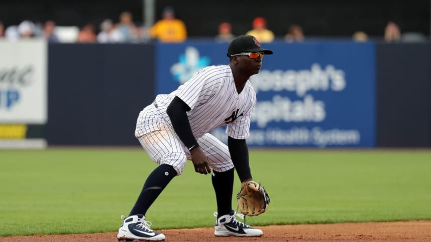New York Yankees, Didi Gregorius