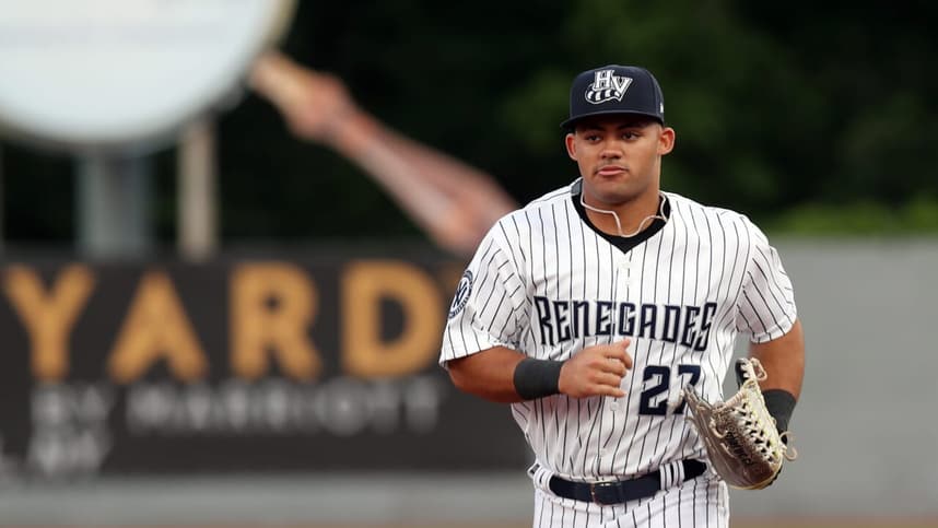 New York Yankees, Jasson Dominguez