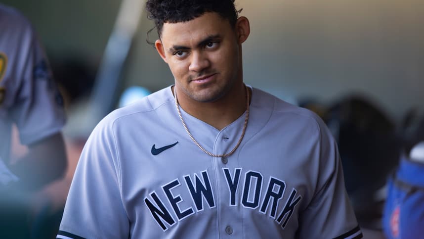jasson dominguez, yankees