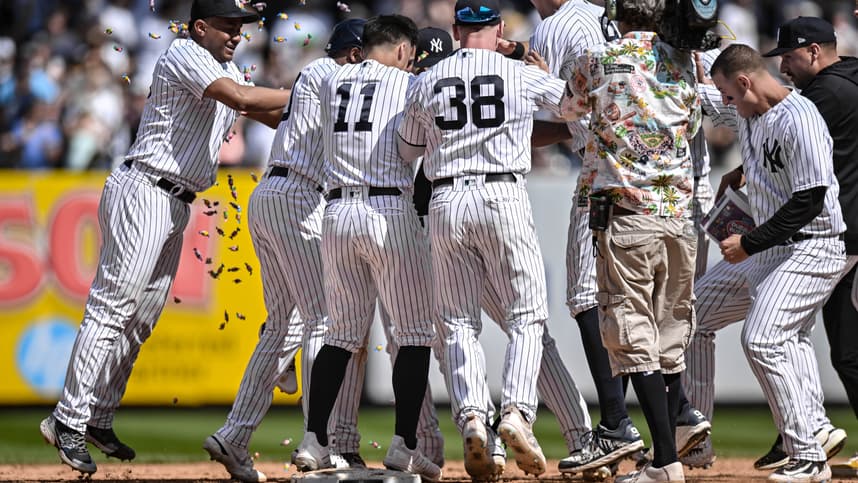 yankees