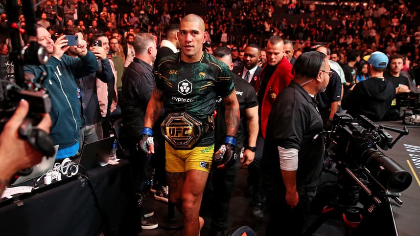 MMA: UFC 295 - Prochazka vs Pereira