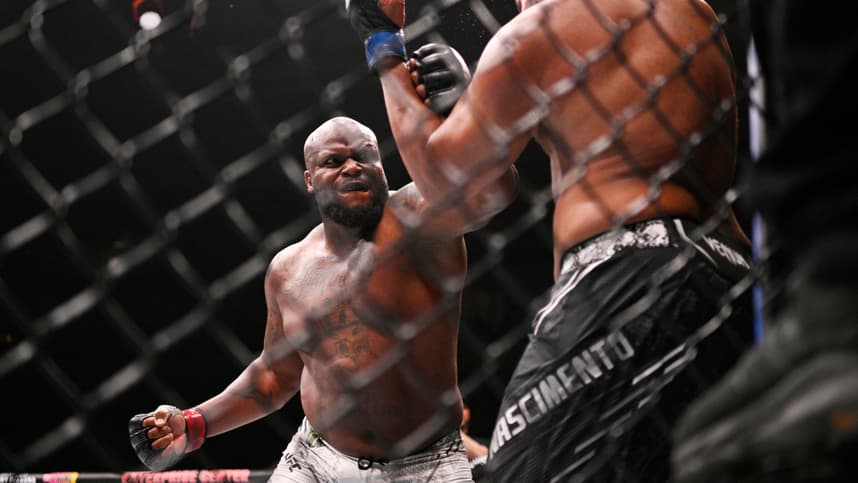MMA: UFC Fight Night-St. Louis-Lewis vs Nascimento